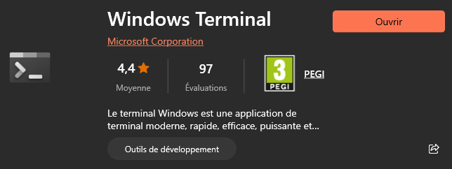 Windows Terminal sur le store Microsoft