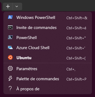 Listing des terminaux dans Windows Terminal